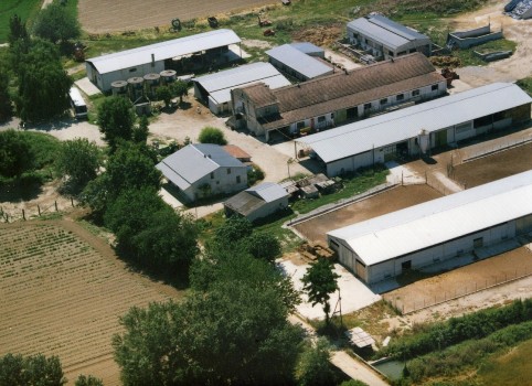 AZIENDA1.jpg