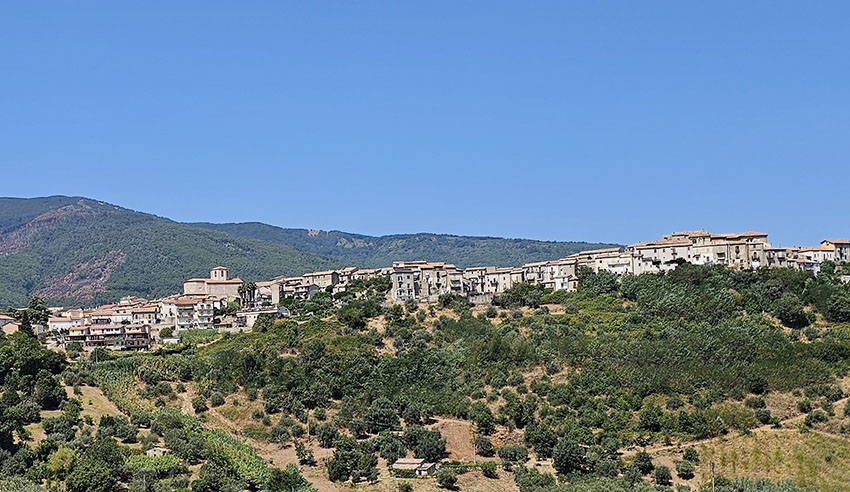 lattarico