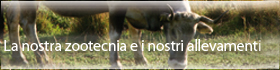 zootecnia